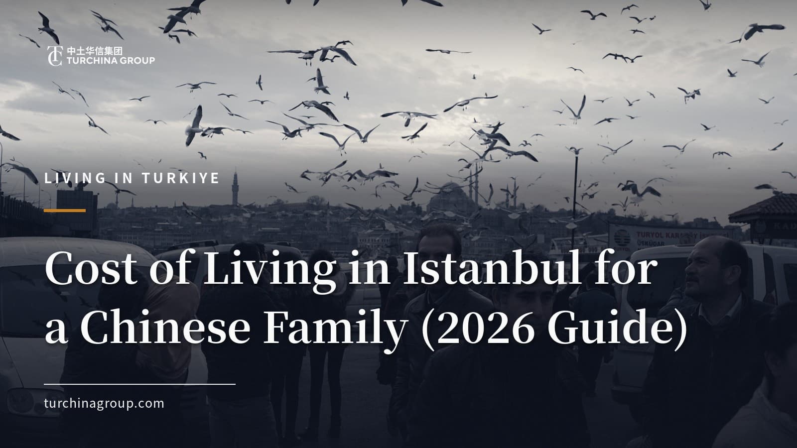 Cost of Living in Istanbul for a Chinese Family (2026 Guide)
